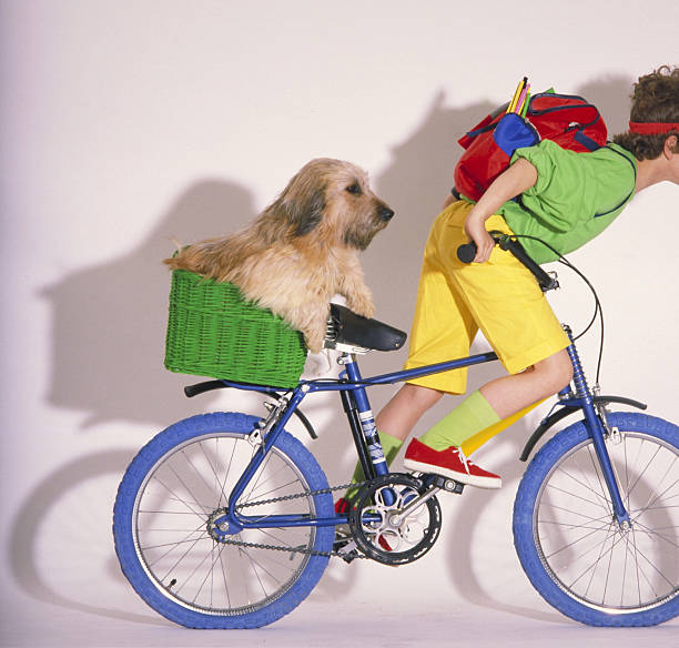 Kids, Baby and Pets