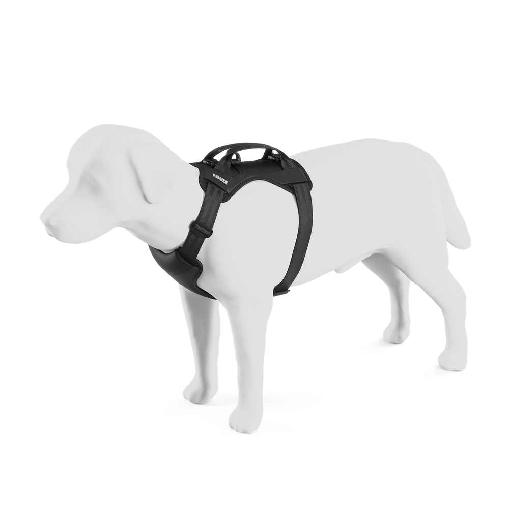 Thule Cappy Dog Car Harness, Medium Black front view